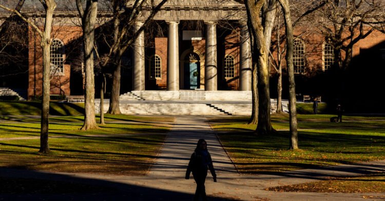 Legal and Lobbying Costs Surge as Universities Face Trump Pressure