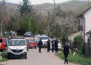 The proceedings against one of the suspects in the case of Danka Ilić’s murder have been suspended – Society