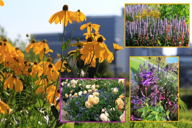 You have never seen Vilnius like this before: a new 14 km route leads through the city’s most beautiful flower gardens