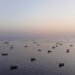 Crew Rescued After U.S. Helicopter Goes Down Near Strait of Hormuz