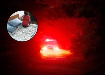 Family nightmare: the story, which resembles a crime thriller, shocked even those who have seen everything