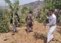 An initiative to replace the khat tree with coffee seedlings in Jabal al-Sharq in Dhamar – Al-Thawra Net
