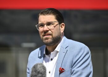 Åkesson on SD member suspected of child pornography: Very serious crime