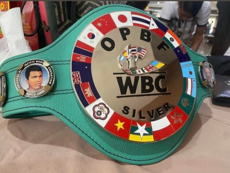 Myanmar boxing title: 4 divisions, deadline 29 June