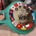 Myanmar boxing title: 4 divisions, deadline 29 June
