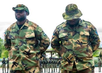 Two FAd’H soldiers dismissed for theft and abuse of authority