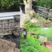 Incident in Dzūkija – a car that slid off the bridge fell into the river: rescuers were needed