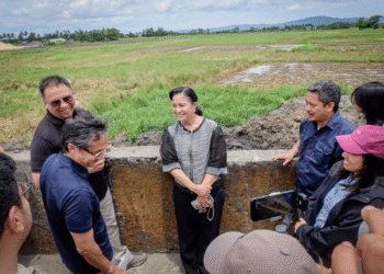 Gov’t picks Robredo for special projects
