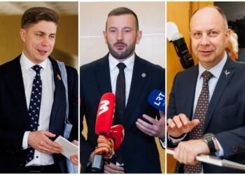 Relations with China and the role of K. Budris? What Sinkevičiai and A. Veryga talked about in Brussels