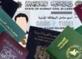 Over 14,000 Expats Benefit From Kuwait Visa Transfers, SME Sector Leads