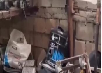 Egyptian and Bangladeshi Nationals Arrested for Stealing Electrical Cables in Kuwait