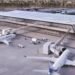 Kuwait Air Traffic Returns to Normal After Temporary Precautionary Closure