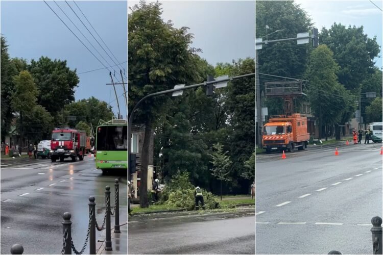 A storm passed through Kaunas: on a busy street, public transport stopped and the effects of the wind