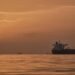 Strait of Hormuz developments – TASS