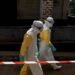 WHO reports 906 suspected Ebola cases, including over 200 deaths – Society & Culture