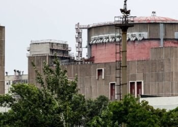 Zaporozhye nuke plant informs IAEA inspectors of complete power loss – Business & Economy
