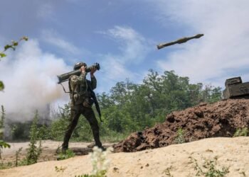 Russian forces successfully advance near Belitskoye under Rodinskoye in DPR — expert – Military & Defense