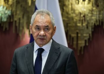 BRICS countries to use common strategic reserves for mutual assistance — Shoigu – Russian Politics & Diplomacy