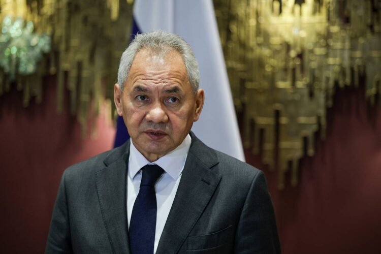 BRICS countries to use common strategic reserves for mutual assistance — Shoigu – Russian Politics & Diplomacy