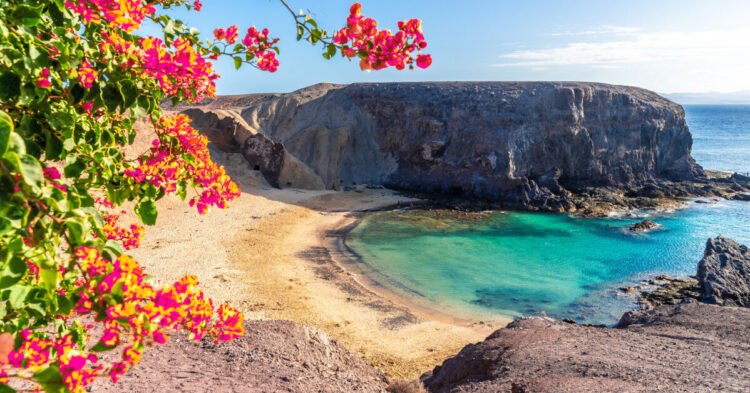 A blow to the Canary Islands: tourists leave Tenerife, Gran Canaria and Lanzarote | Life