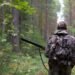 In the north of Moldova, poachers shot two moose. Police are investigating