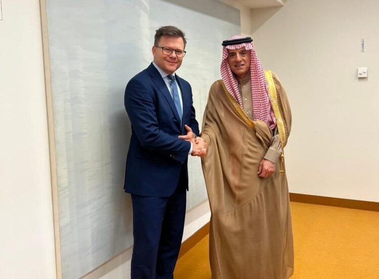 Al-Riyadh newspaper | Al-Jubeir meets with the German Minister of Environment, Climate Action, Environmental Protection and Nuclear Safety