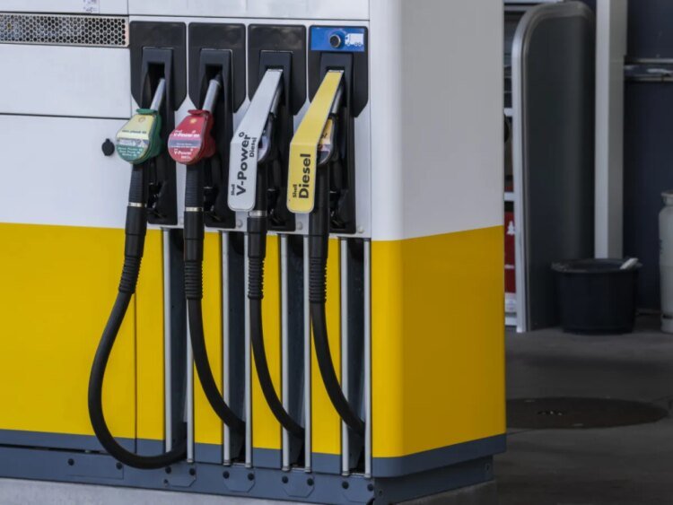 Swiss economy holds up despite energy costs, OECD says