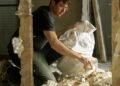 Valérie Donzelli made a film about a writer who works on the side: ‘Art does not come from suffering, just look at Picasso’