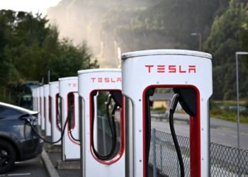 The number of people who say that the next car will be an electric car is increasing
