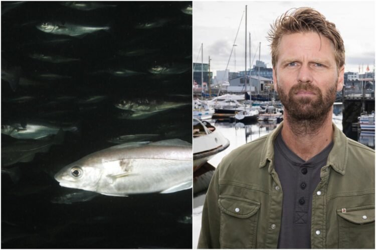 Terrible disappointment with the haddock
