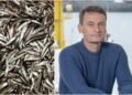 Fur advice rises by 81%