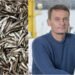 Fur advice rises by 81%