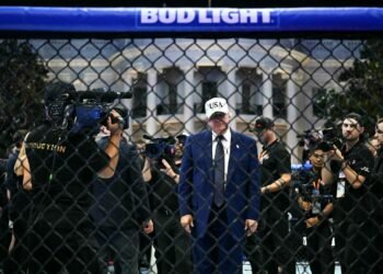 Plan to attack the White House’s UFC night