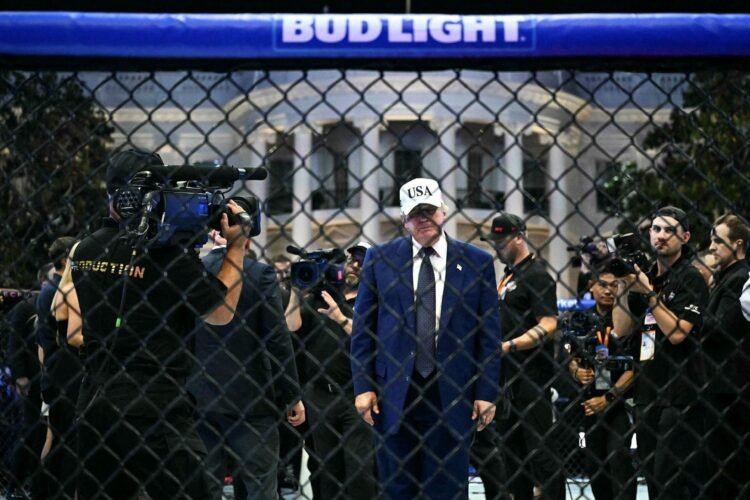 Plan to attack the White House’s UFC night