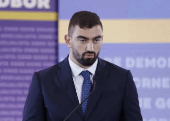 Klikovac: Stojović was a member of the DPS commission for European integration in 2021, and says that he is an anti-European party