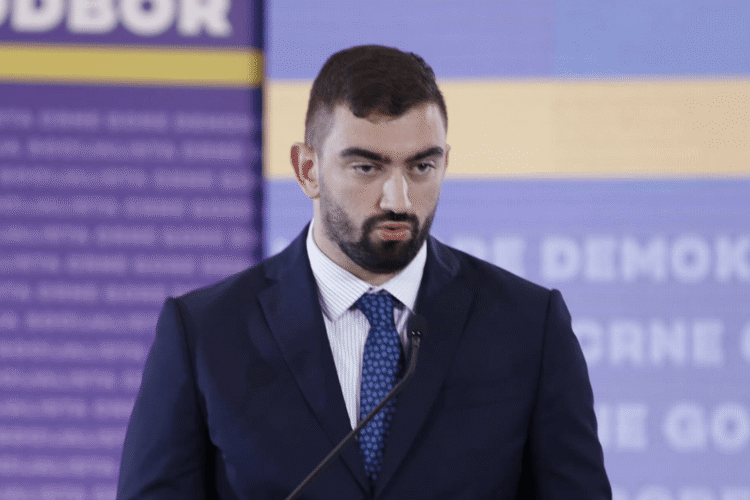 Klikovac: Stojović was a member of the DPS commission for European integration in 2021, and says that he is an anti-European party