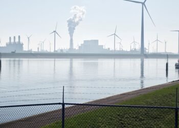 Where will the two new nuclear power plants be located: Eemshaven or Terneuzen?