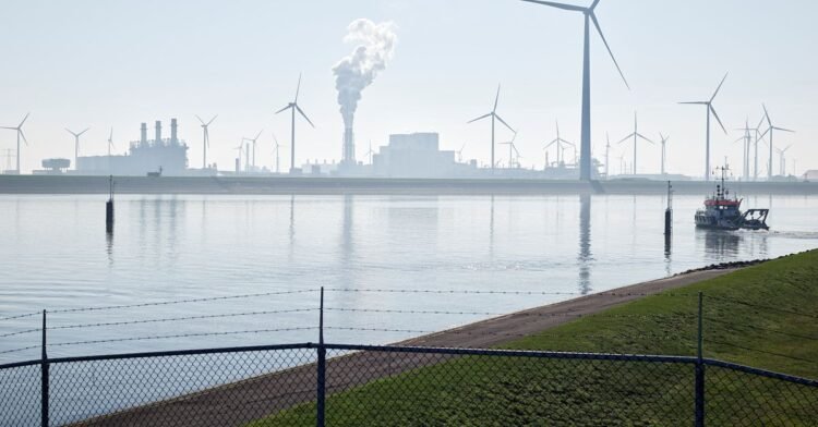 Where will the two new nuclear power plants be located: Eemshaven or Terneuzen?