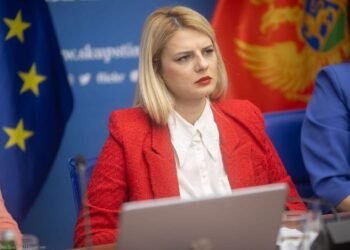 Nedović: The Assembly will respect the final verdict in the case of the RTCG Council
