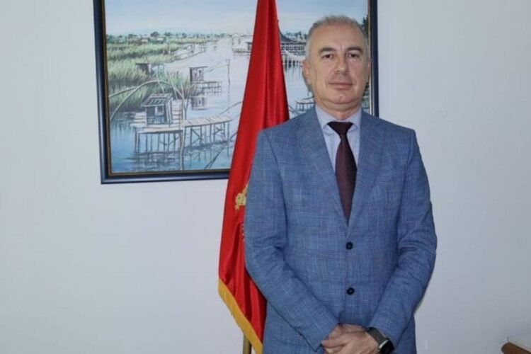 Đeka: Official Belgrade would like to obstruct Montenegro on its way to the EU and to extremize the Serbs, but I think they are not succeeding in this.