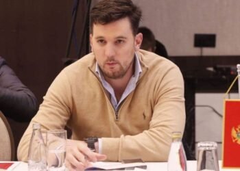 Kalezić: The thesis about the DNP-DPS coalition is promoted by those brought to power by Vučić