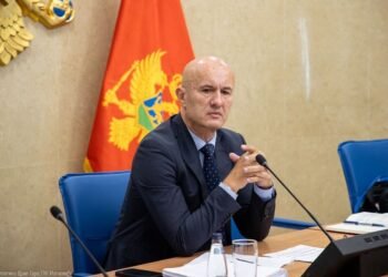 Laković: Due to certain interests, the parliamentary majority cannot agree on the appointment of the chairman of the Security Committee for four months