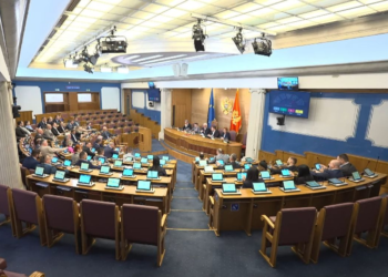 Azemović: Do not pass decisions on limiting voting rights without consulting the diaspora