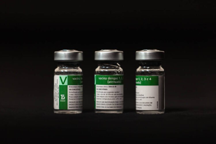 Dengue: suspension creates uncertainty about mass vaccination – 06/09/2026 – Equilíbrio e Saúde