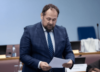 Stojović: The DPS-DNP coalition may seem like a paradox, but there are points of contact between them