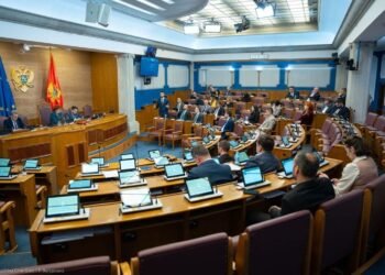 The Assembly continues its work: Today it will consider four legislative proposals