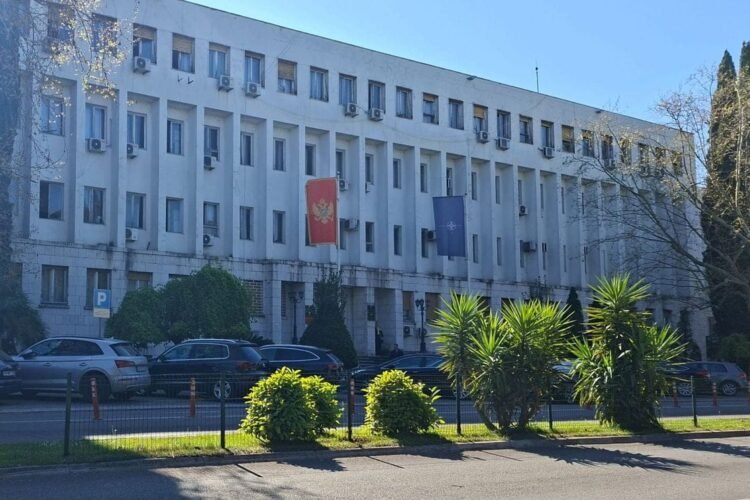 The Ministry of Foreign Affairs has announced: In anticipation of the Summit in Tivat, we will do everything to welcome our friends, allies and partners at the highest level.