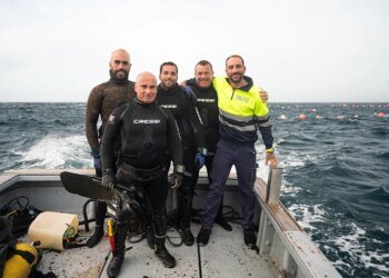 The frogs, the group of ‘cowboys’ of the sea who swim among fish weighing hundreds of kilos to get the best almadraba bluefin tuna