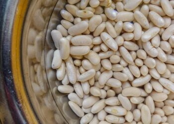 Telex: What should I do to prevent the beans from blowing up?