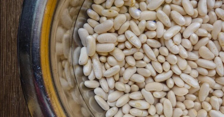 Telex: What should I do to prevent the beans from blowing up?